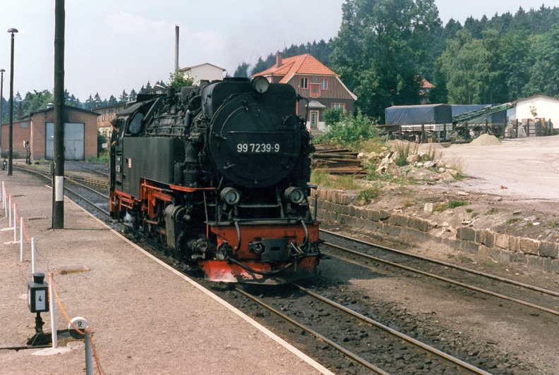 1990-06-23-Harz-Benneckenstein-001