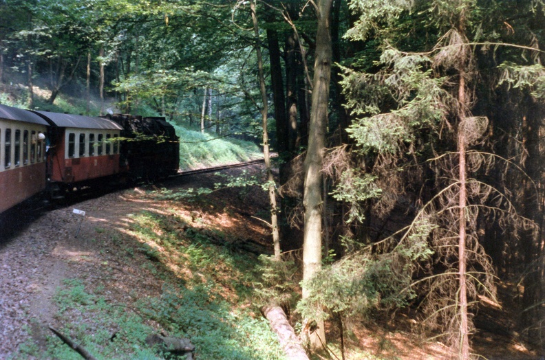 1990-06-23-Harz-Drei-Annen-Hohne-002