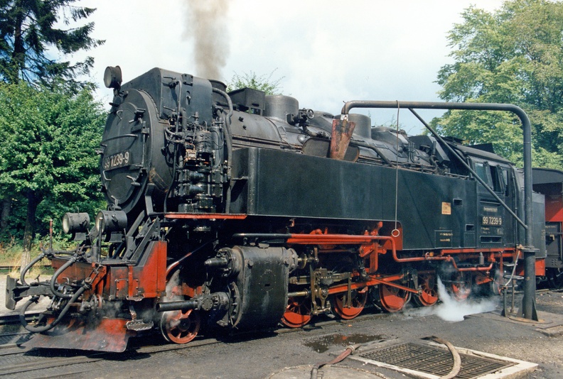 1990-06-23-Harz-Drei-Annen-Hohne-007