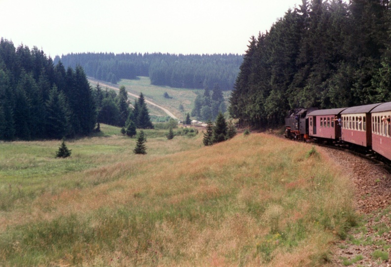 1990-06-23-Harz-Sorge-001